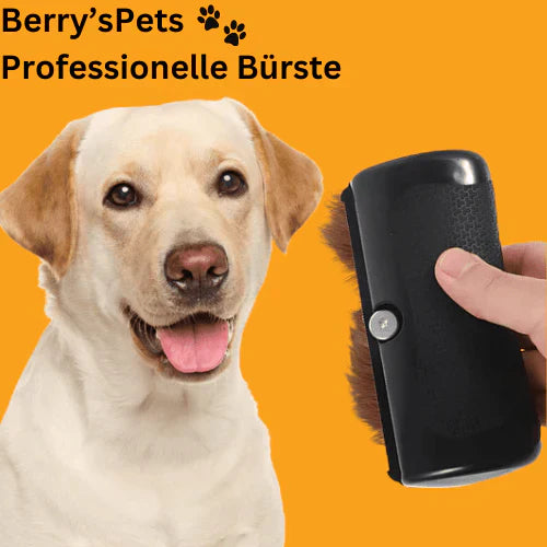 ⏳Limiterad tid 50% rabatt💥Professionell borste