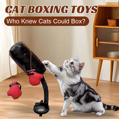 Katt Boxnings Leksaker