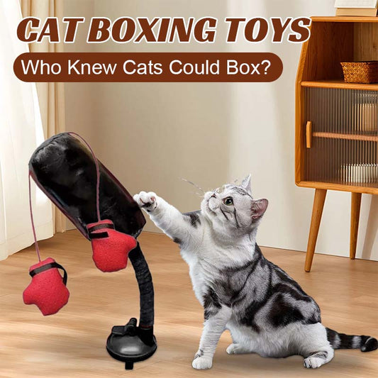 Katt Boxnings Leksaker