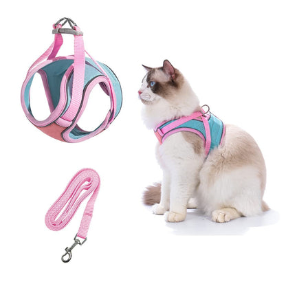 Kattsele och koppel