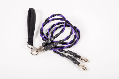 🔥Sista dagen: 50% RABATT!🔥🐕Dubbel Bungee Leash - 1:a steget träningsverktyg
