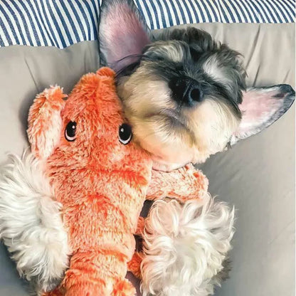 🔥Floppy Lobster Interaktiv Hundleksak