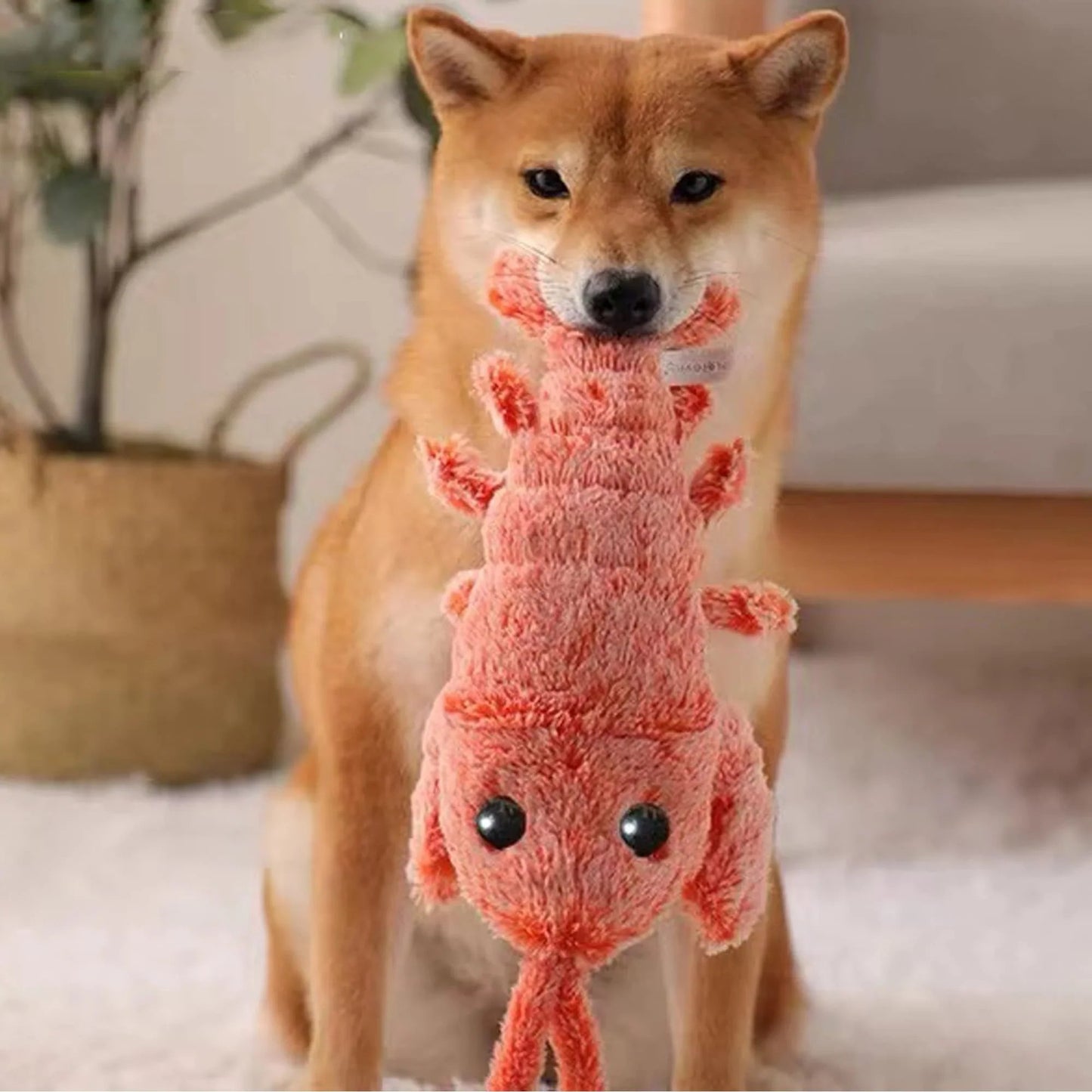 🔥Floppy Lobster Interaktiv Hundleksak