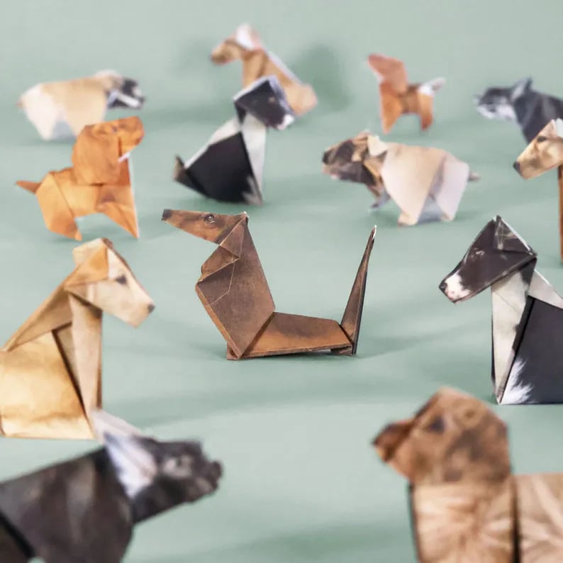 😻✨Enkelt gör-det-själv-kit med papperskatter | Linjer och instruktioner ingår 🎁Köp mer Spara mer