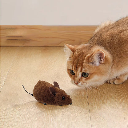 🐭Musleksaker för katter och hundar nr🐁.
