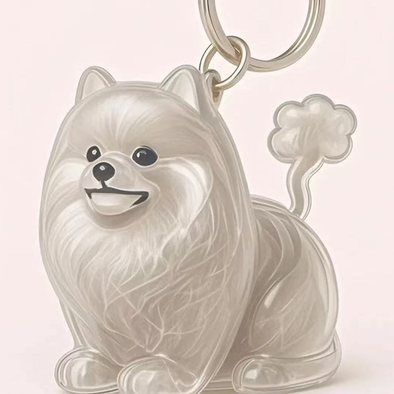 🐶Dog Hair Collector Nyckelring Charm Minnesmärke Förvaringslåda