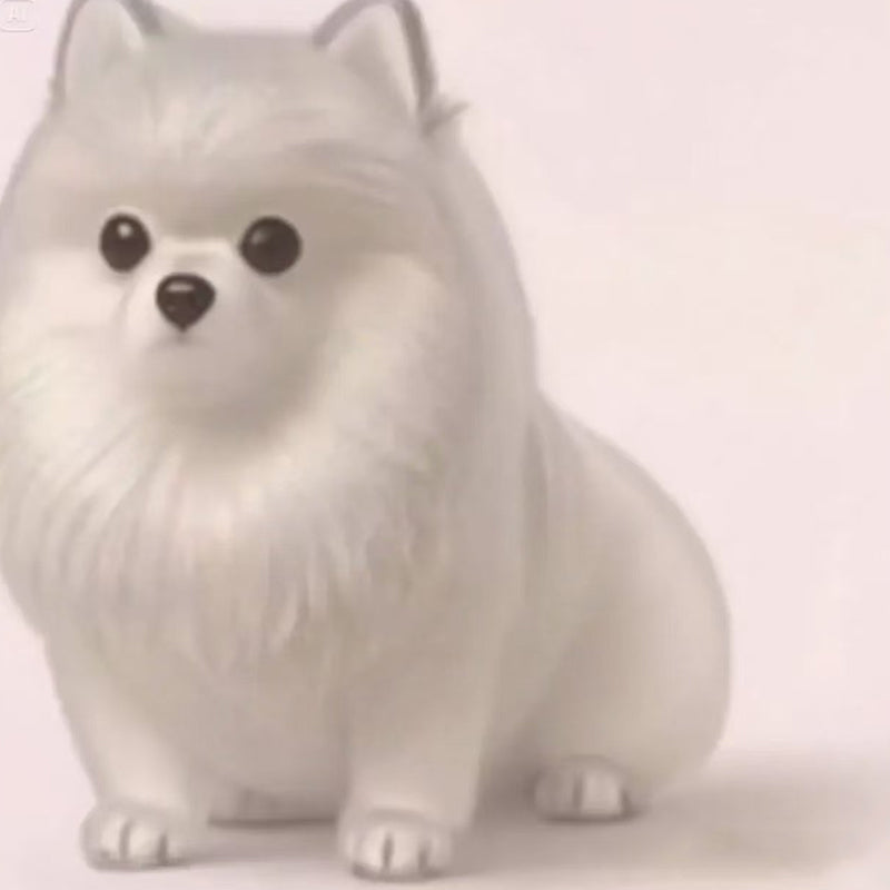 🐶Dog Hair Collector Nyckelring Charm Minnesmärke Förvaringslåda