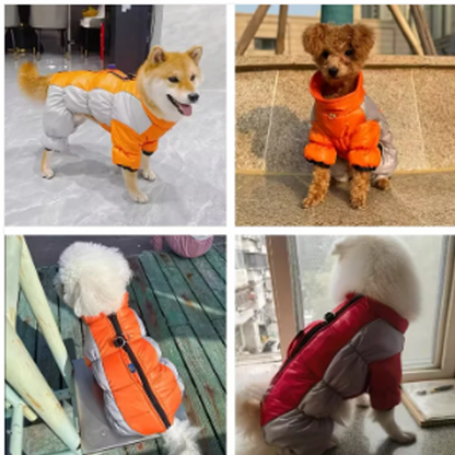 Reflekterande vattentät, förtjockad, varm hundkappa för små hunda