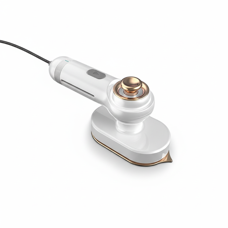 Bärbar handhållen klädångare