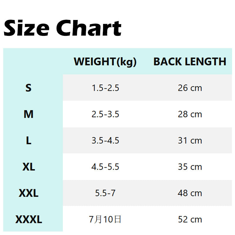 Bärsele för Hund & Katt