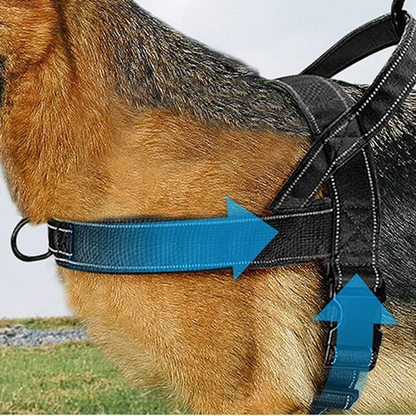 🥳HETT REA 2026🥳🐕💪 50% RABATT! Robust taktisk hundsele – Dragfri, strypfri. 🛡️✨