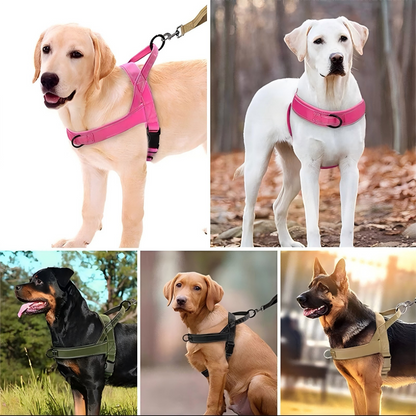 🥳HETT REA 2026🥳🐕💪 50% RABATT! Robust taktisk hundsele – Dragfri, strypfri. 🛡️✨