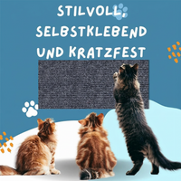 🔥Nu till reducerat pris med 50% rabatt 🐱 Klösmatta för att skydda dina kattmöbler